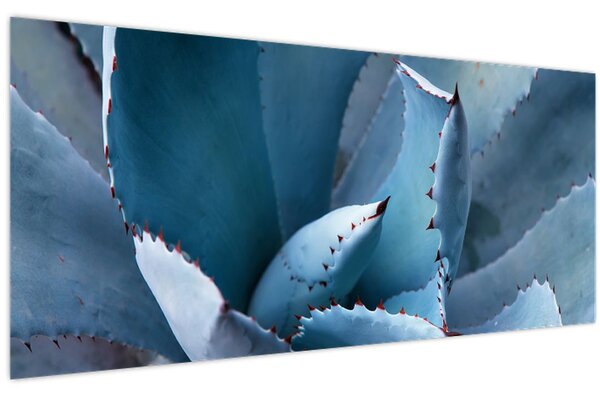 Tablou - Agave (120x50 cm)