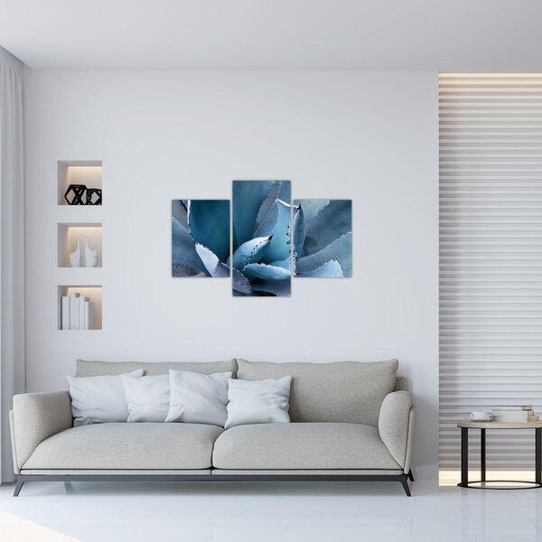 Tablou - Agave (90x60 cm)