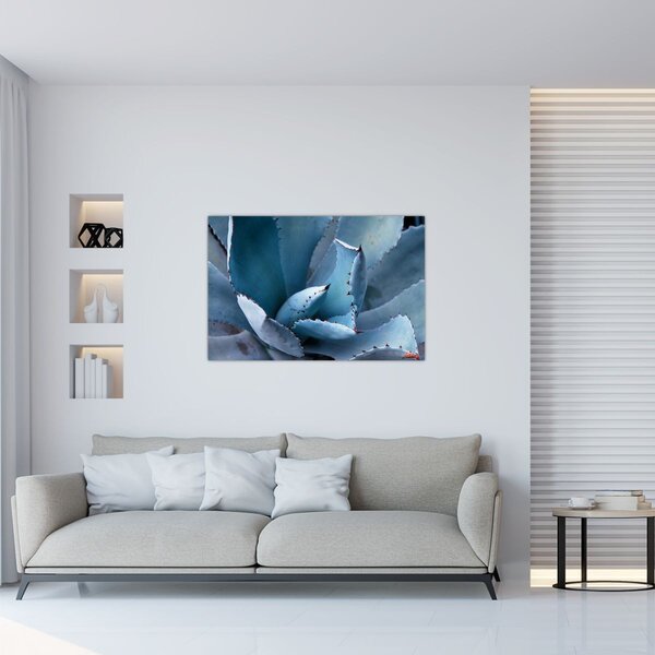 Tablou - Agave (90x60 cm)