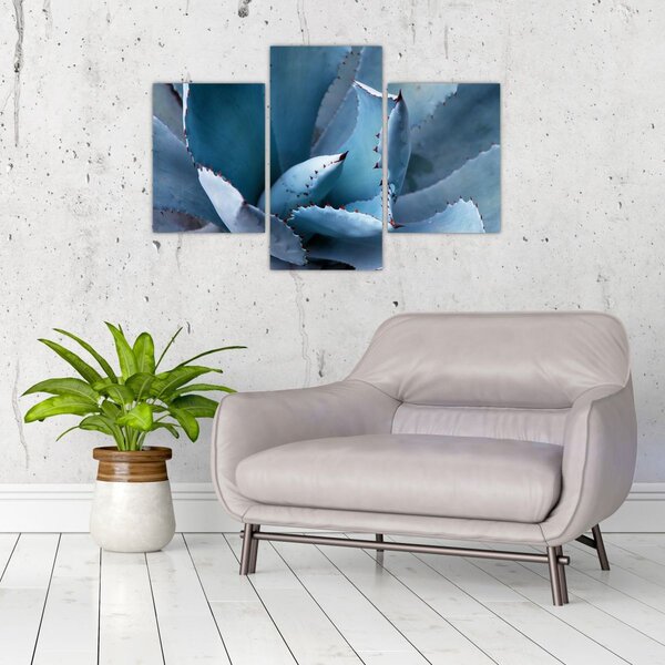 Tablou - Agave (90x60 cm)