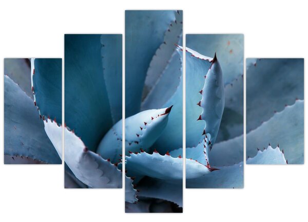 Tablou - Agave (150x105 cm)