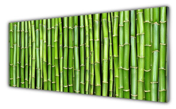 Tablou pe sticla Bamboo Floral Verde