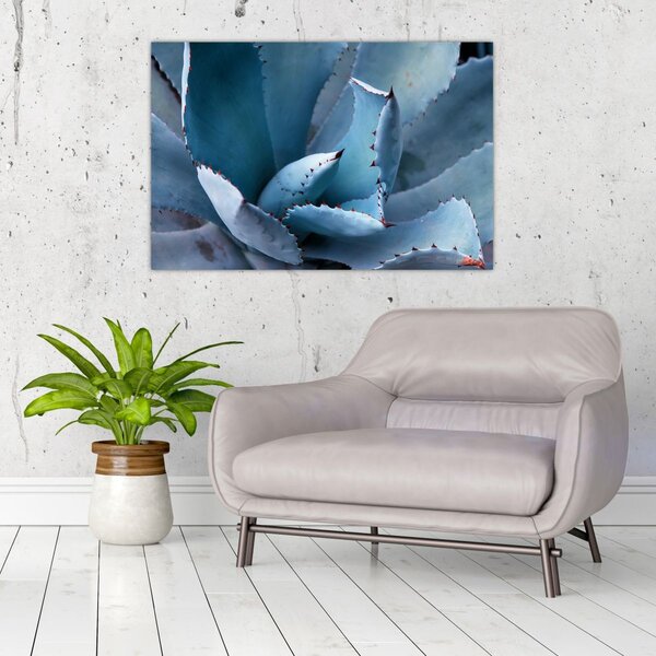 Tablou - Agave (90x60 cm)