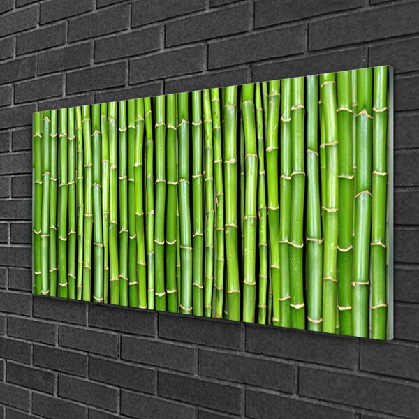Tablou pe sticla Bamboo Floral Verde