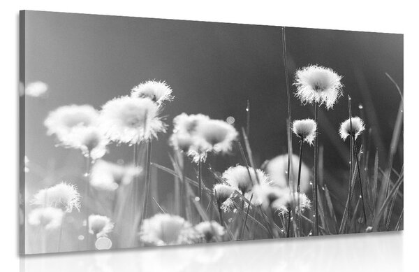 Tablou iarbă din bumbac în design alb-negru