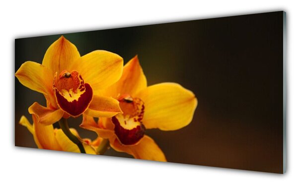 Tablou pe sticla Flori Floral Galben