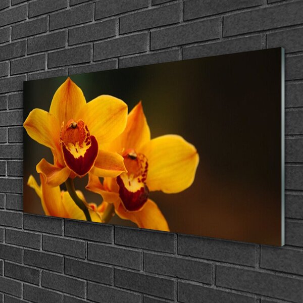 Tablou pe sticla Flori Floral Galben