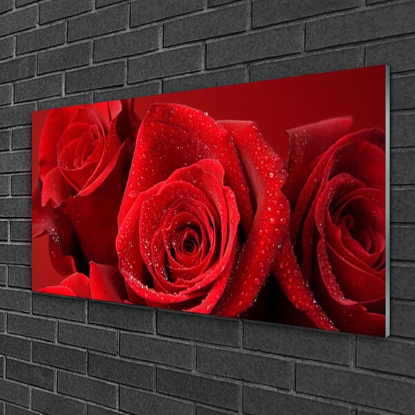 Tablou pe sticla Trandafiri Floral Red