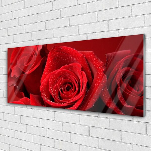 Tablou pe sticla Trandafiri Floral Red