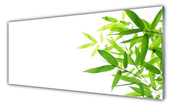 Tablou pe sticla Frunze verde florale