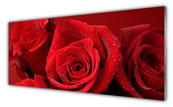 Tablou pe sticla Trandafiri Floral Red
