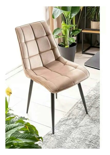 Scaun tapitat stofa CHIC, bej, catifea/metal, 50x58x88 cm