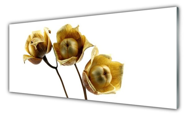Tablou pe sticla Flori Floral Verde Maro