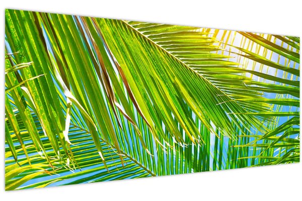 Tablou - Frunze de palmier (120x50 cm)