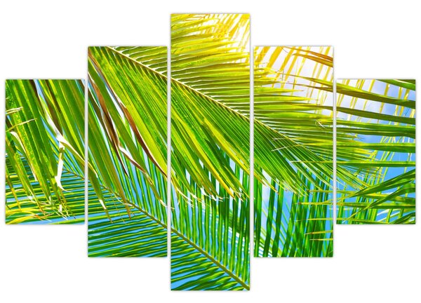 Tablou - Frunze de palmier (150x105 cm)