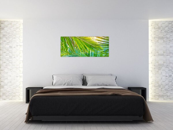 Tablou - Frunze de palmier (120x50 cm)