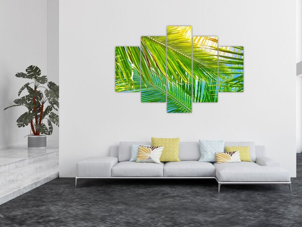 Tablou - Frunze de palmier (150x105 cm)