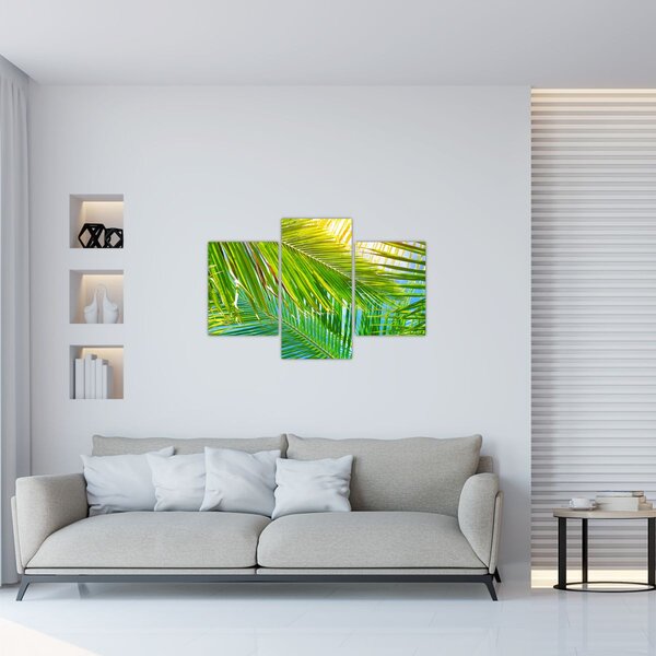 Tablou - Frunze de palmier (90x60 cm)