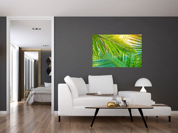 Tablou - Frunze de palmier (90x60 cm)