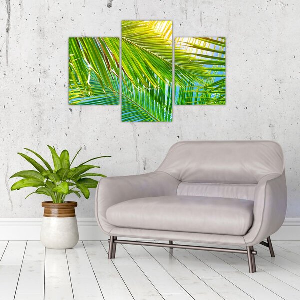 Tablou - Frunze de palmier (90x60 cm)