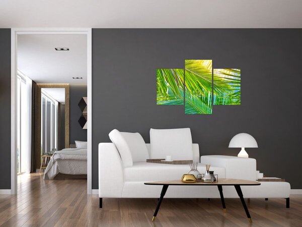 Tablou - Frunze de palmier (90x60 cm)