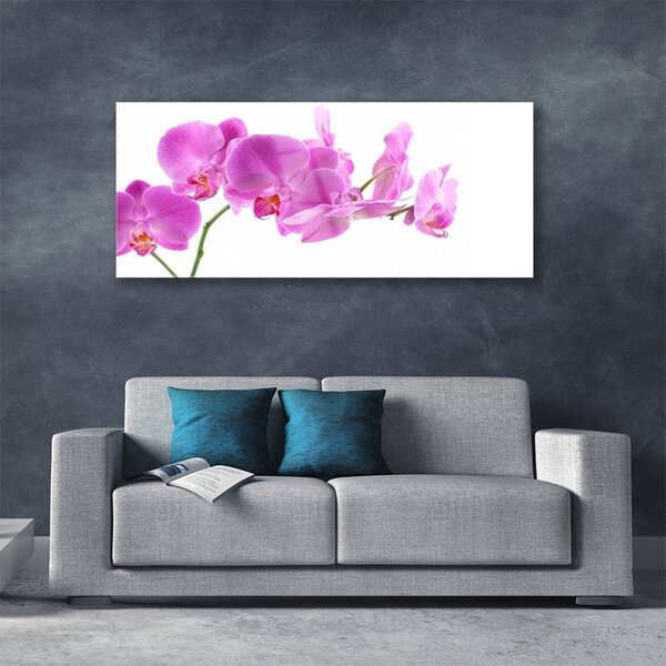Tablou pe sticla Flori roz Floral