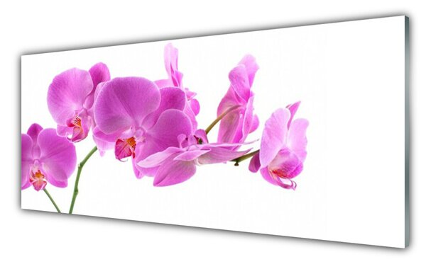 Tablou pe sticla Flori roz Floral