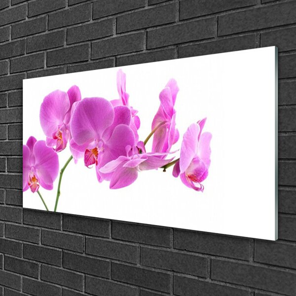 Tablou pe sticla Flori roz Floral