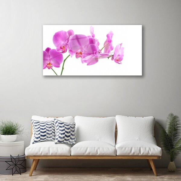 Tablou pe sticla Flori roz Floral