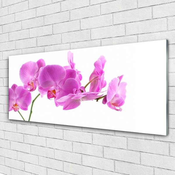 Tablou pe sticla Flori roz Floral