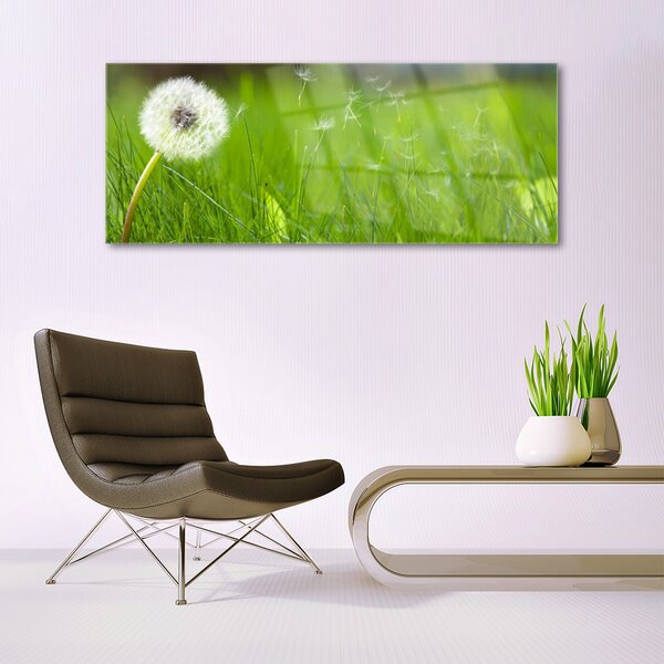 Tablou pe sticla Pusteblume Iarbă Floral Alb Verde
