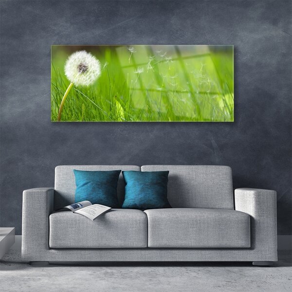 Tablou pe sticla Pusteblume Iarbă Floral Alb Verde