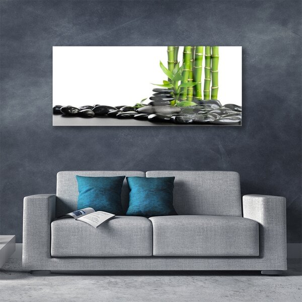 Tablou pe sticla Bamboo Pietre Arta Verde Negru