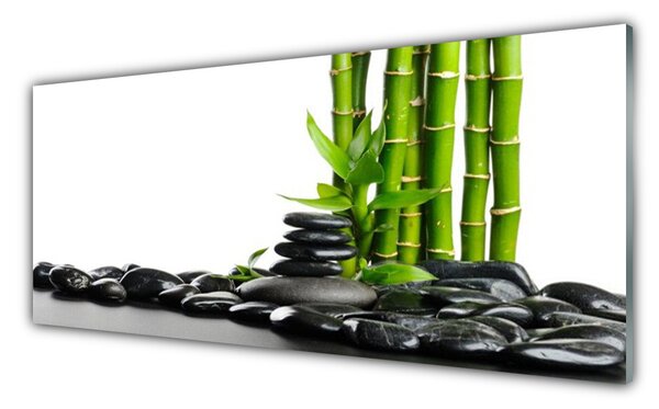 Panou sticla bucatarie Bamboo Pietre Arta Verde Negru