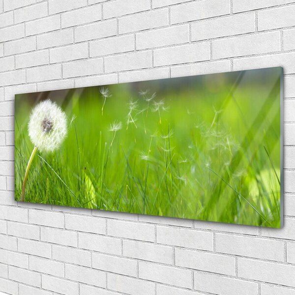 Tablou pe sticla Pusteblume Iarbă Floral Alb Verde