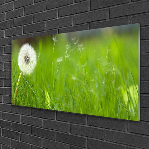 Tablou pe sticla Pusteblume Iarbă Floral Alb Verde