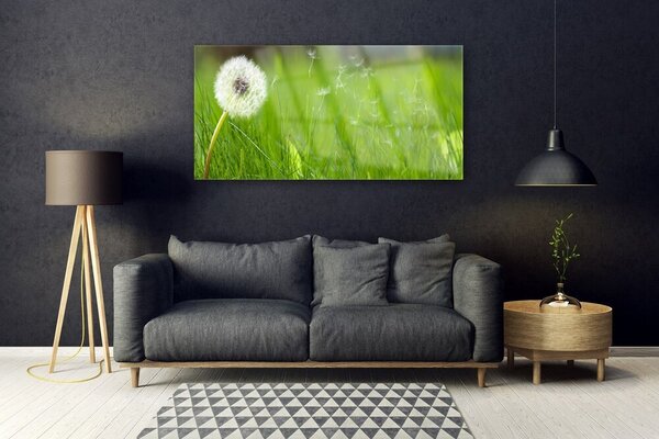 Tablou pe sticla Pusteblume Iarbă Floral Alb Verde