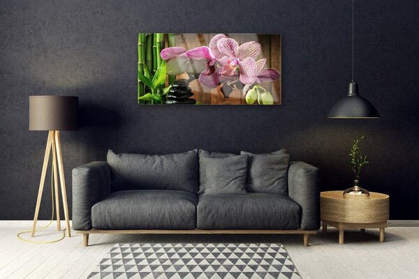 Tablou pe sticla Flori de bambus pietre Floral Verde Negru Roz