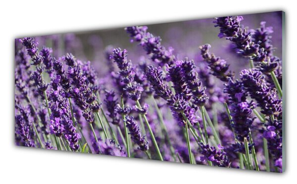 Tablouri acrilice Flori Floral violet
