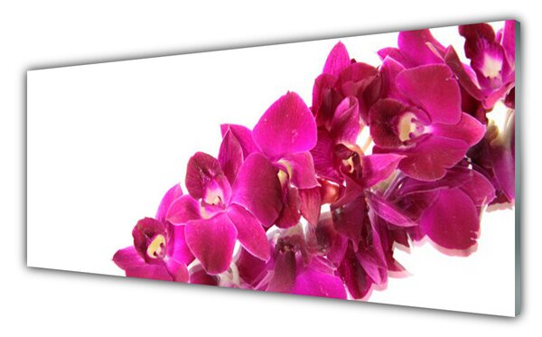 Tablou pe sticla Flori Floral Roșu