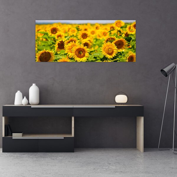 Tablou - Floarea-soarelui (120x50 cm)