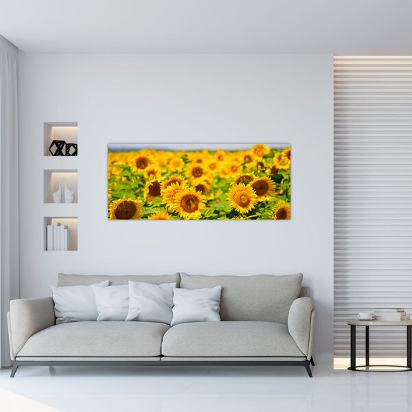 Tablou - Floarea-soarelui (120x50 cm)