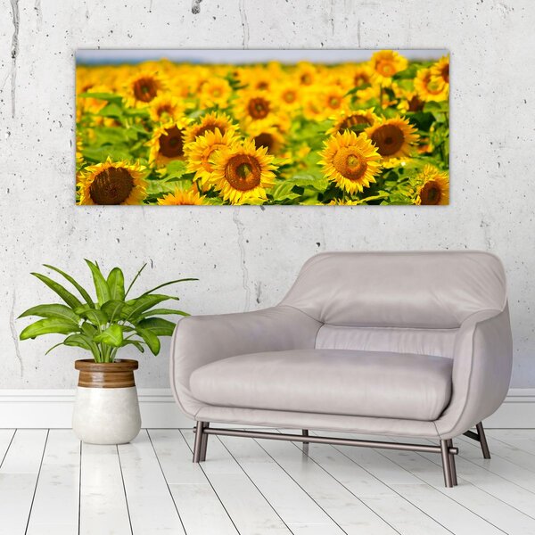 Tablou - Floarea-soarelui (120x50 cm)