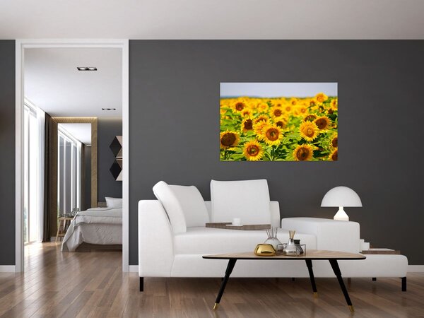 Tablou - Floarea-soarelui (90x60 cm)