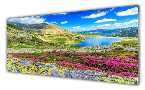 Tablou pe sticla Mountain Bay Meadow Natura Multi