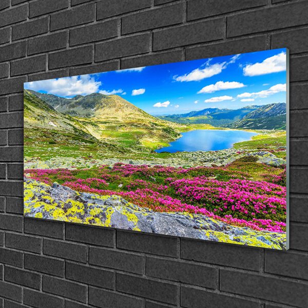Tablou pe sticla Mountain Bay Meadow Natura Multi