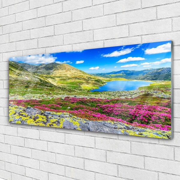 Tablou pe sticla Mountain Bay Meadow Natura Multi