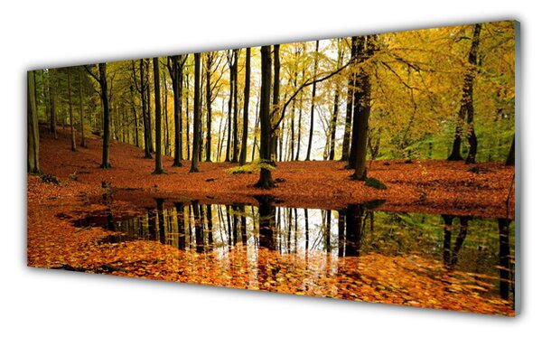 Tablou pe sticla Natural Pădurea Verde Portocaliu Maro