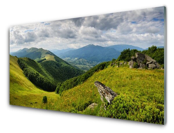 Panou sticla bucatarie Mountain Meadow Peisaj Verde Gri