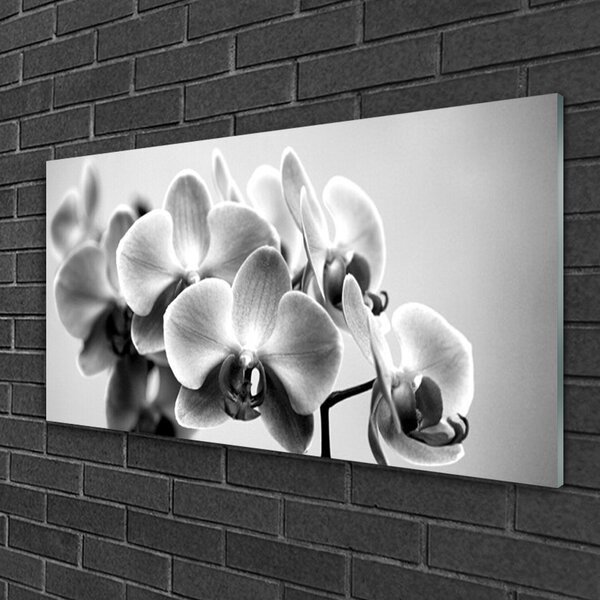 Tablou pe sticla Flori Floral Gray